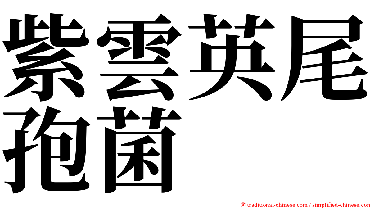 紫雲英尾孢菌 serif font