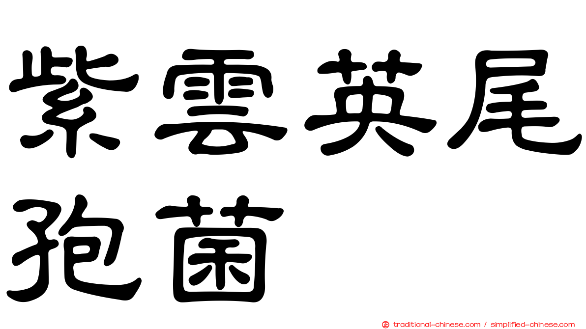 紫雲英尾孢菌