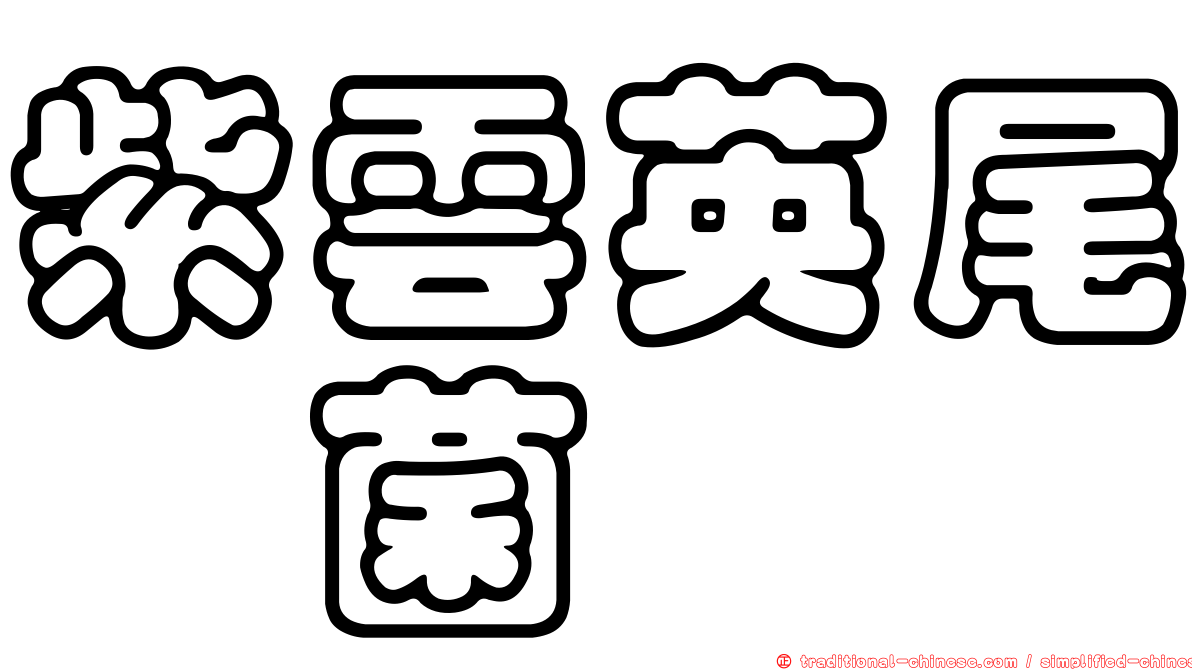 紫雲英尾孢菌