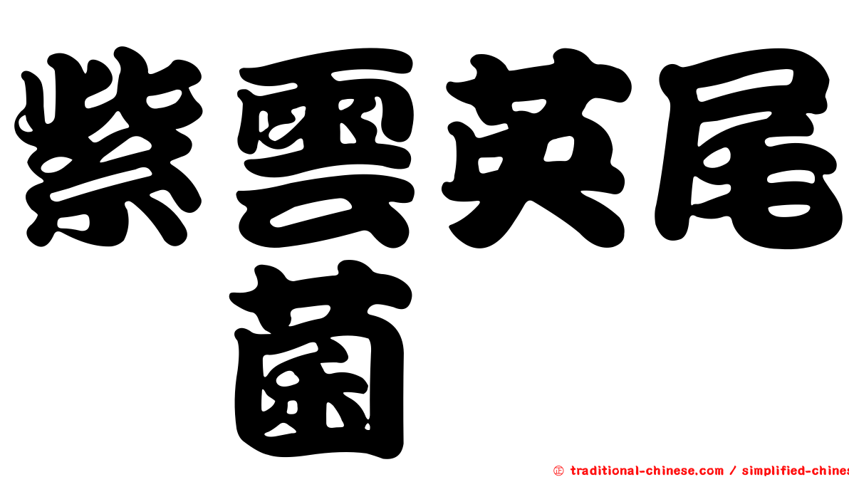 紫雲英尾孢菌