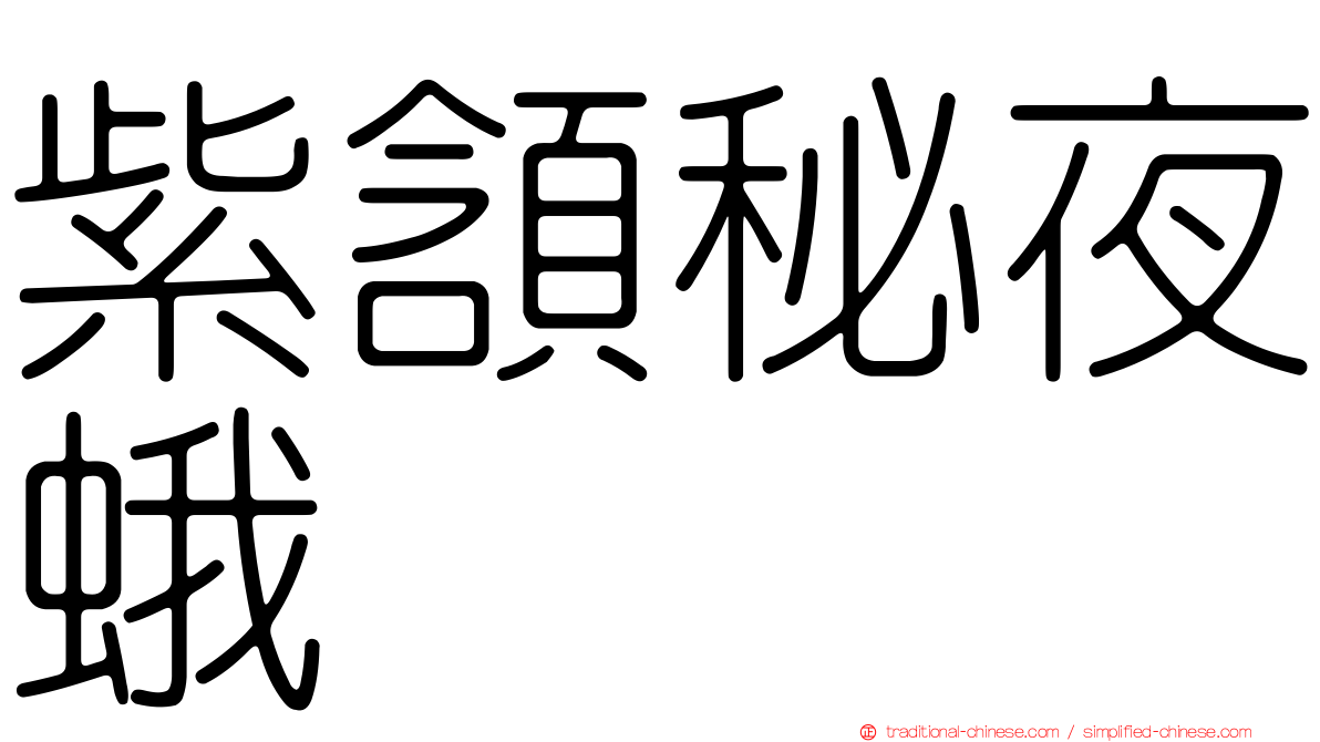 紫頷秘夜蛾