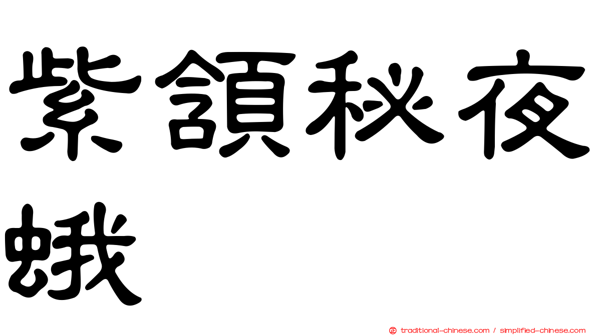 紫頷秘夜蛾