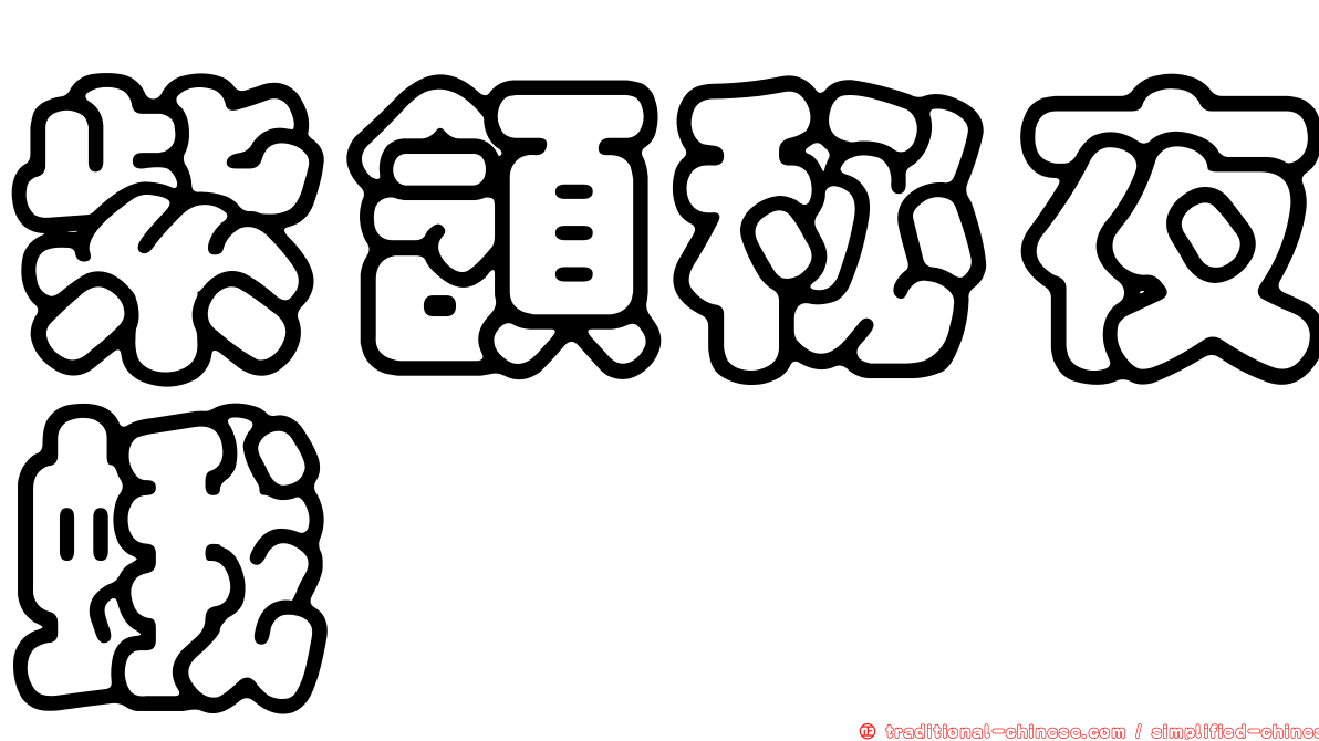 紫頷秘夜蛾