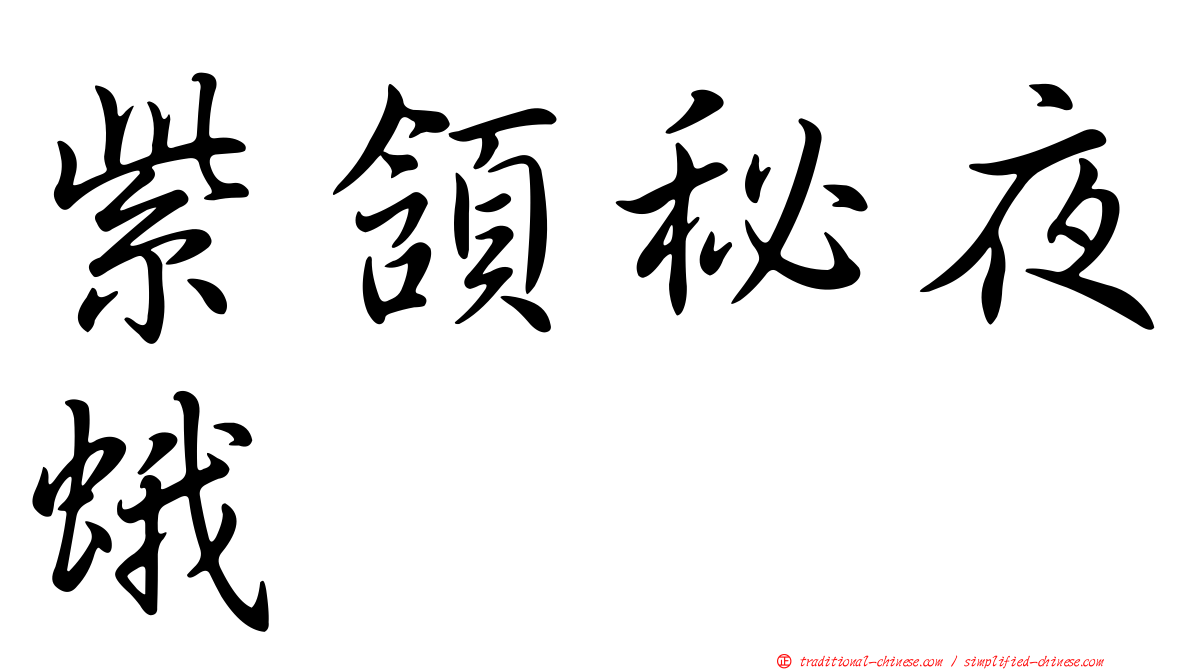 紫頷秘夜蛾