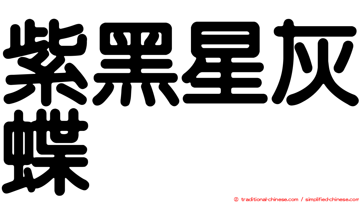 紫黑星灰蝶