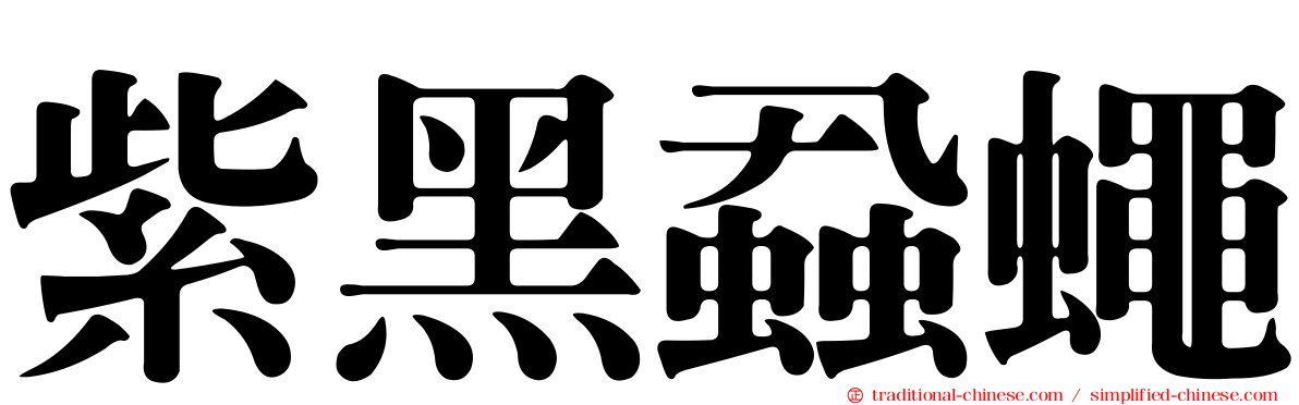 紫黑蝨蠅
