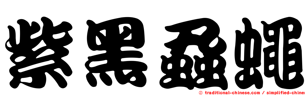 紫黑蝨蠅