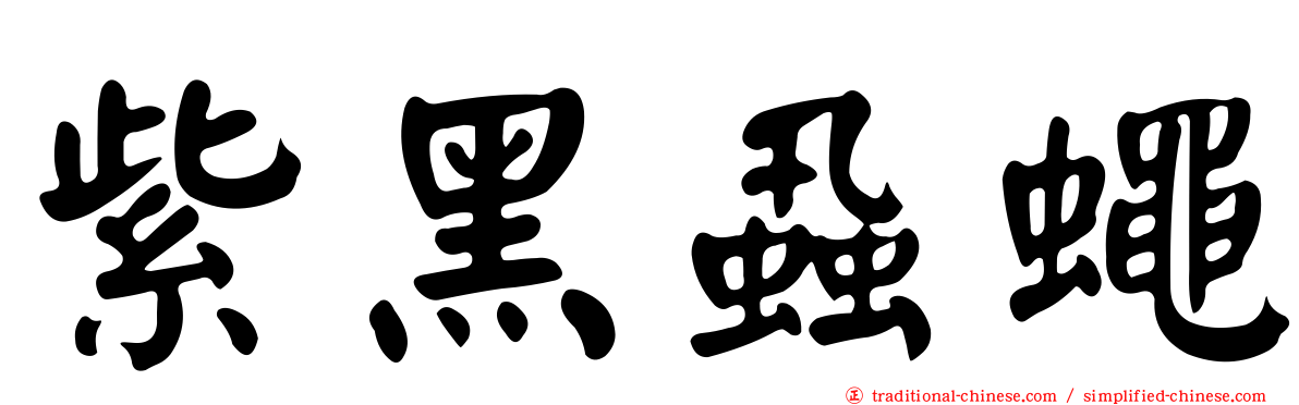 紫黑蝨蠅