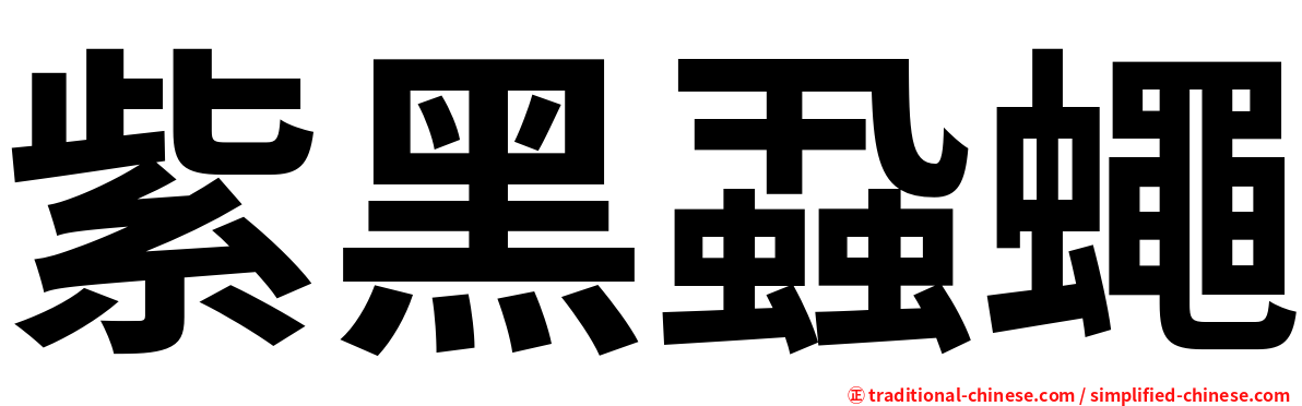紫黑蝨蠅