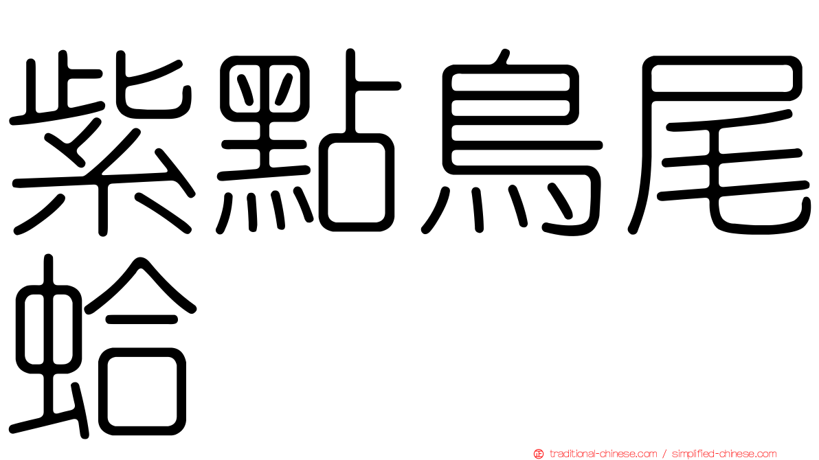 紫點鳥尾蛤