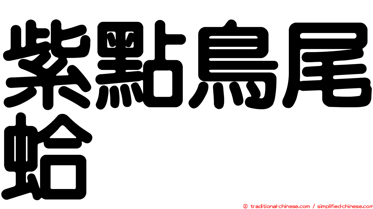 紫點鳥尾蛤