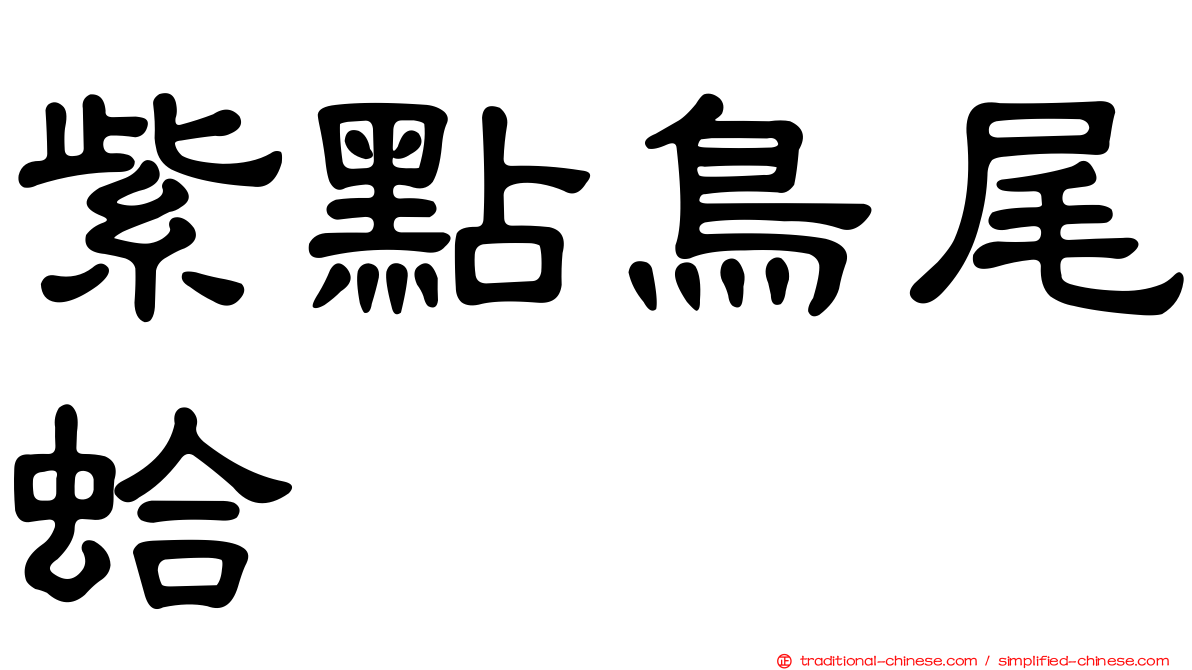 紫點鳥尾蛤