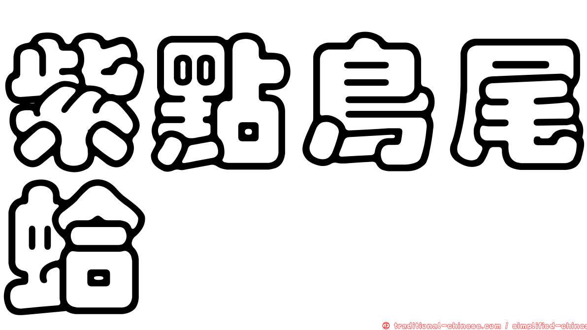 紫點鳥尾蛤