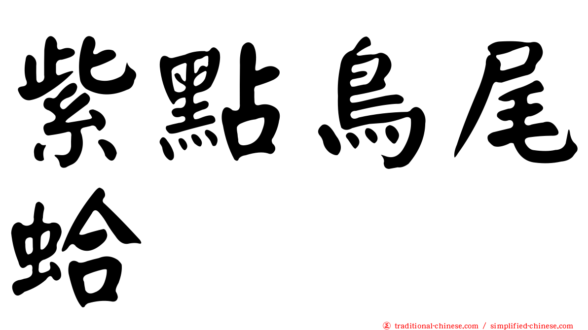 紫點鳥尾蛤