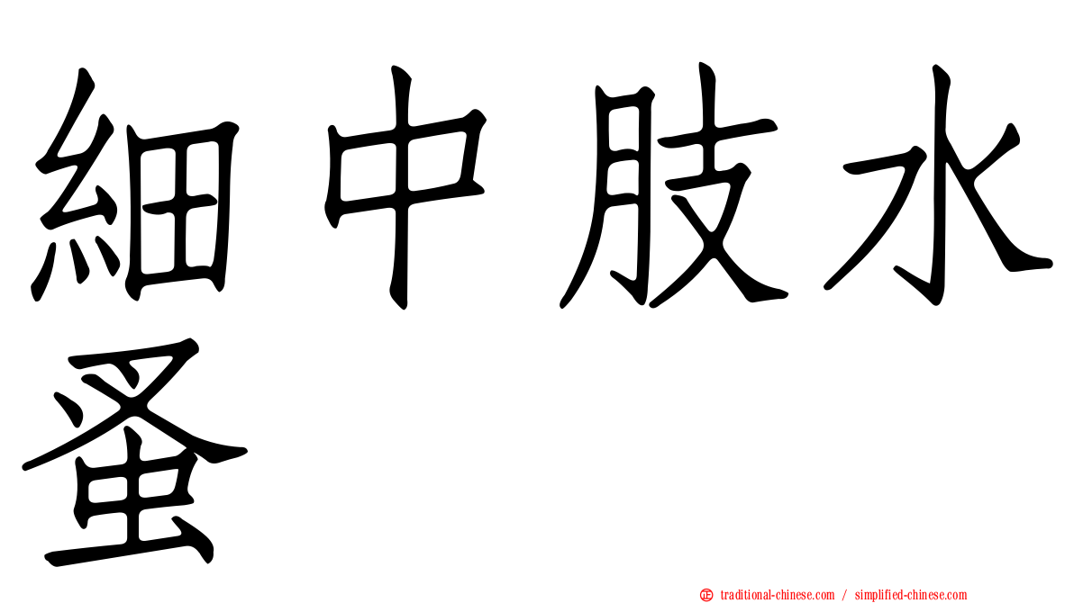 細中肢水蚤