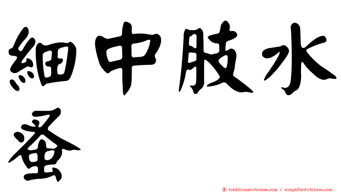 細中肢水蚤