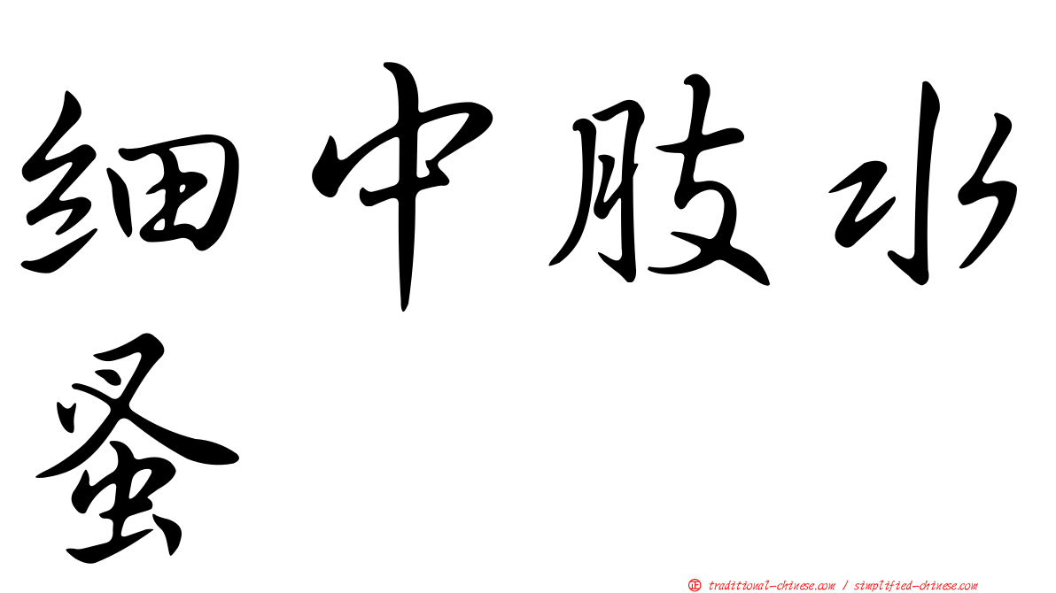 細中肢水蚤