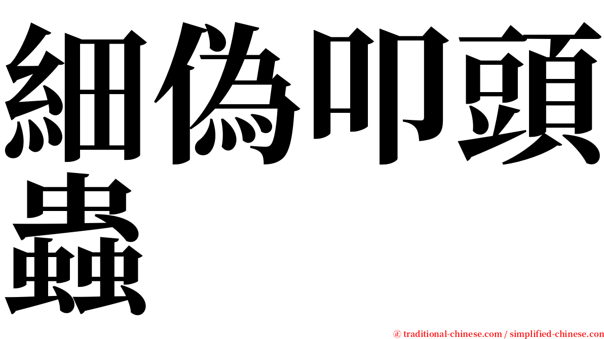 細偽叩頭蟲 serif font