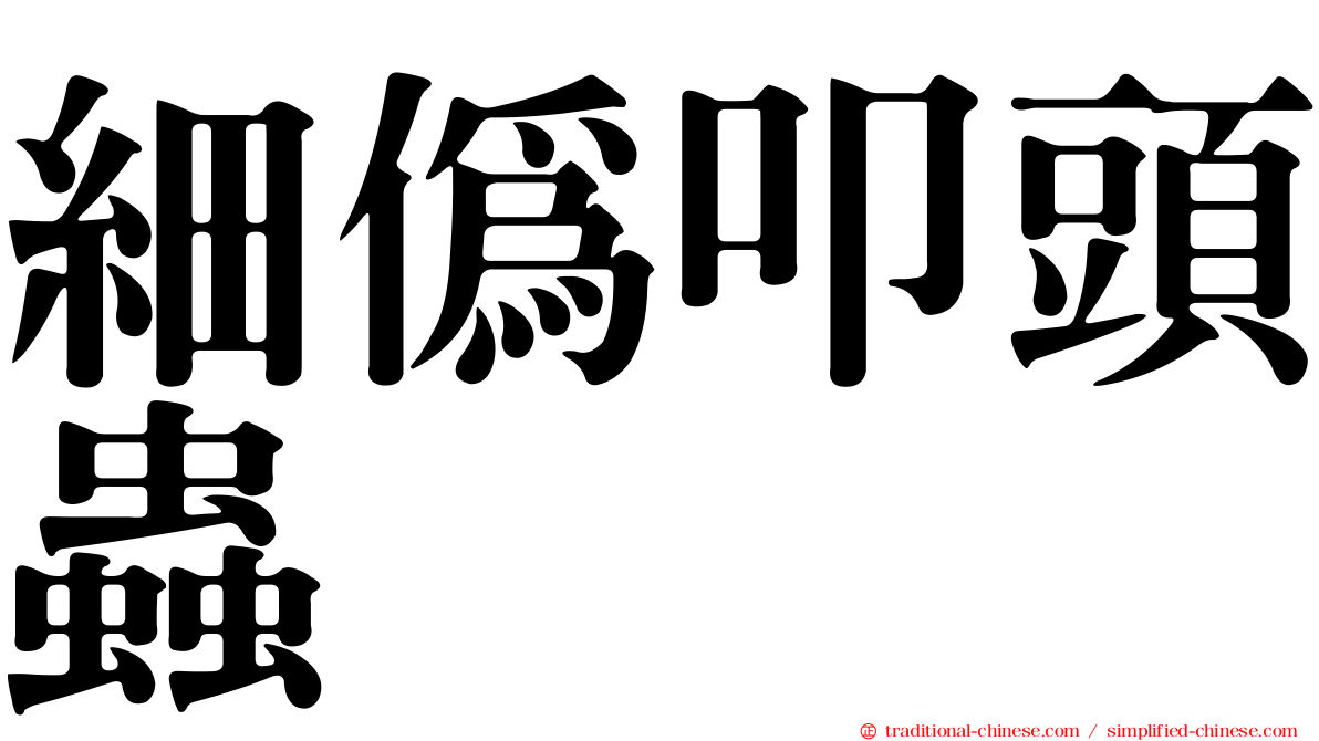 細偽叩頭蟲