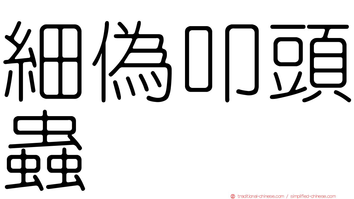 細偽叩頭蟲