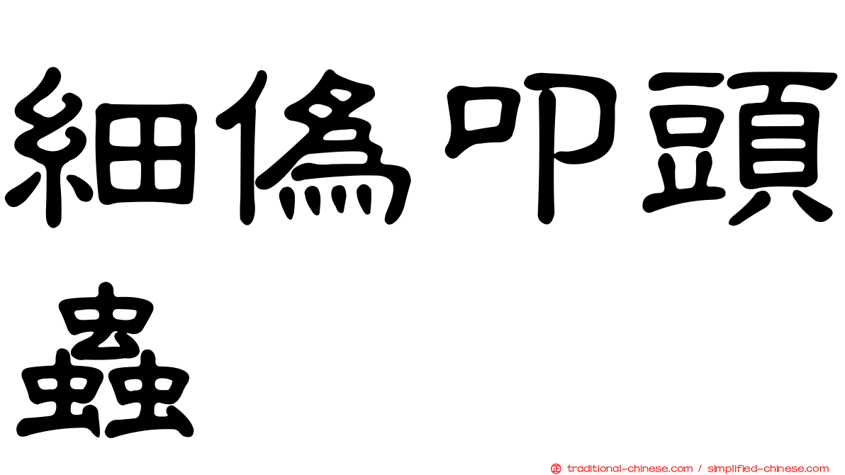 細偽叩頭蟲