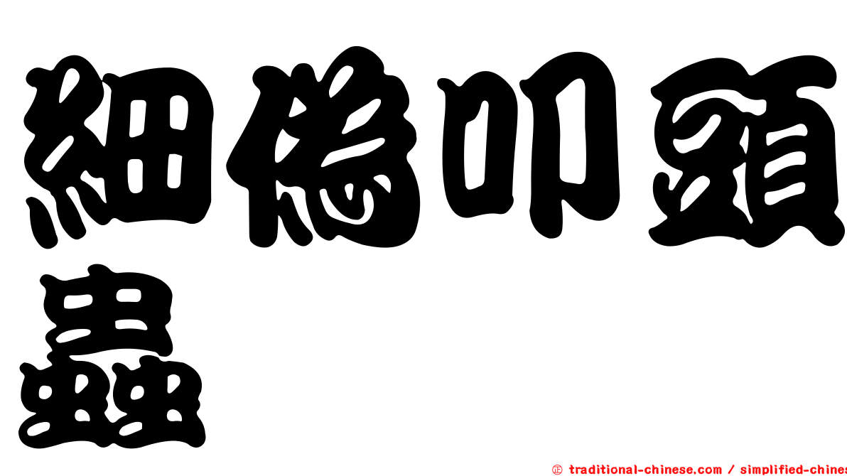 細偽叩頭蟲