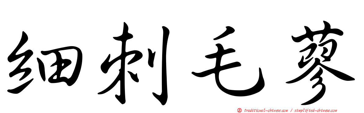 細刺毛蓼