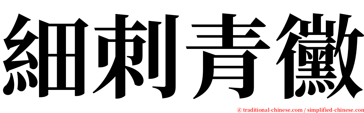 細刺青黴 serif font