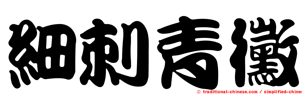 細刺青黴