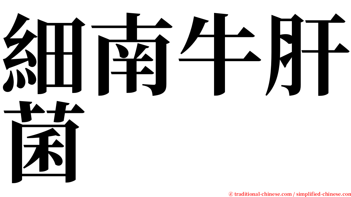 細南牛肝菌 serif font
