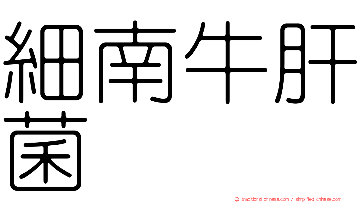 細南牛肝菌