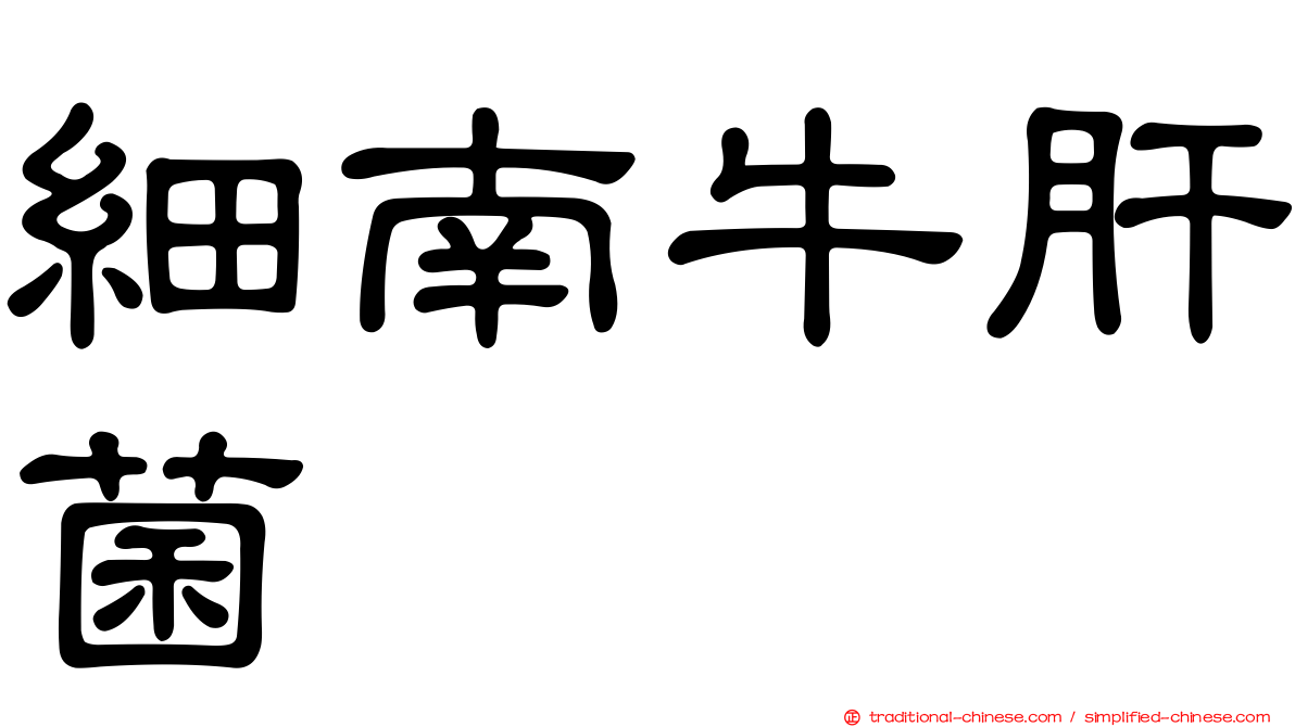 細南牛肝菌