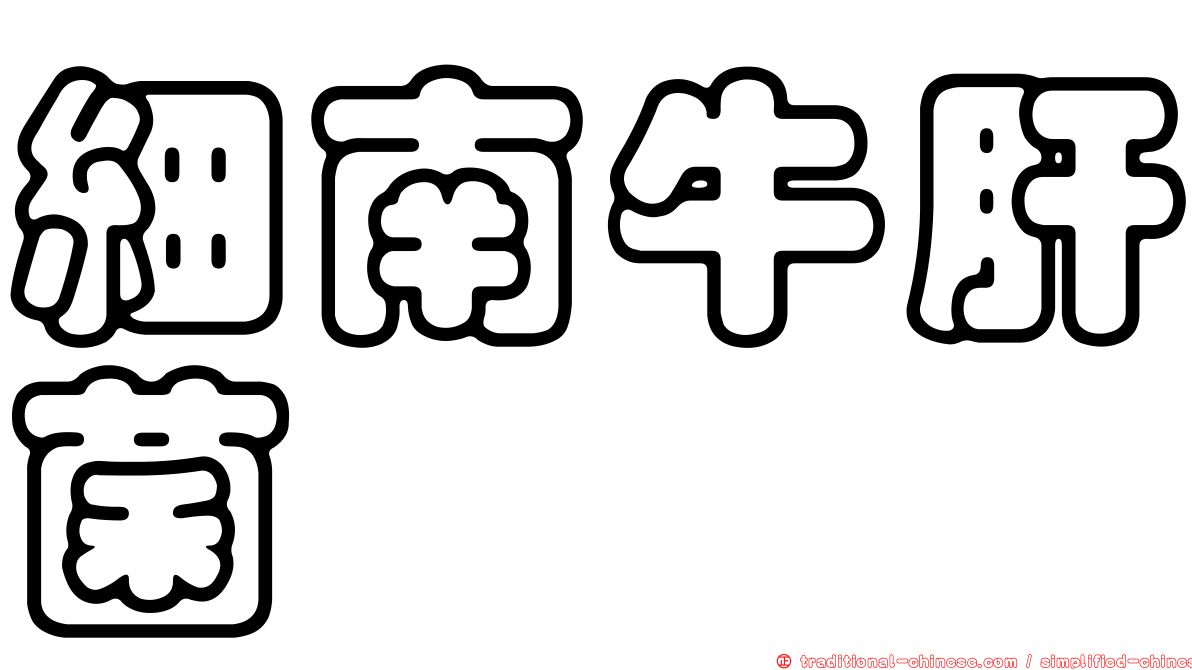 細南牛肝菌