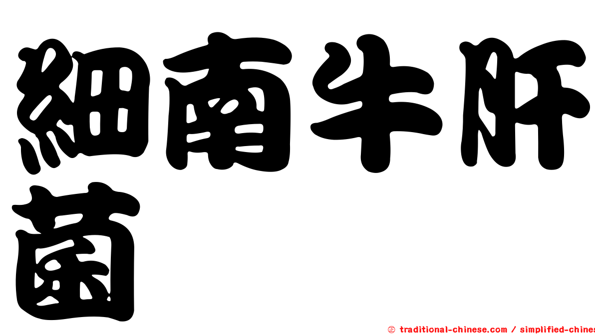 細南牛肝菌