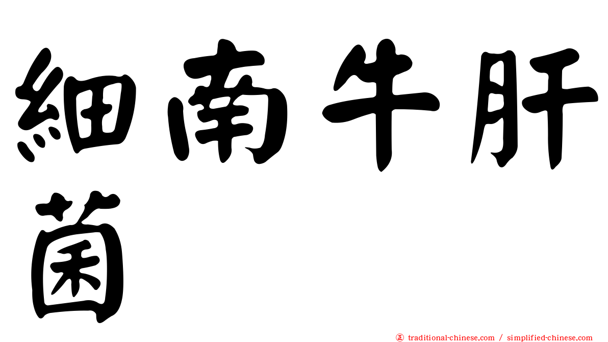 細南牛肝菌
