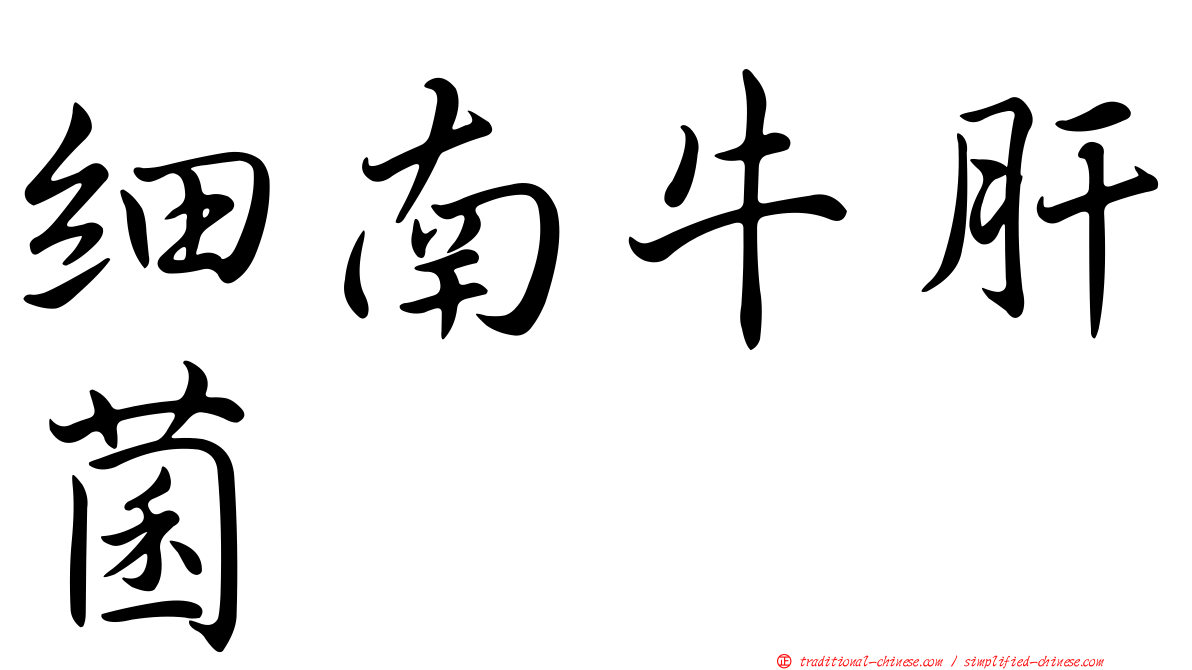 細南牛肝菌