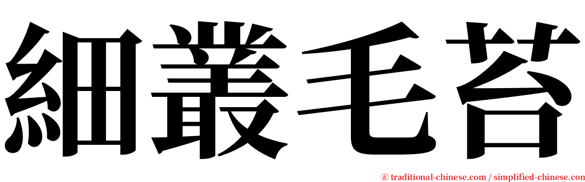 細叢毛苔 serif font