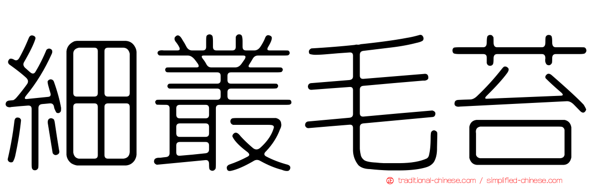 細叢毛苔