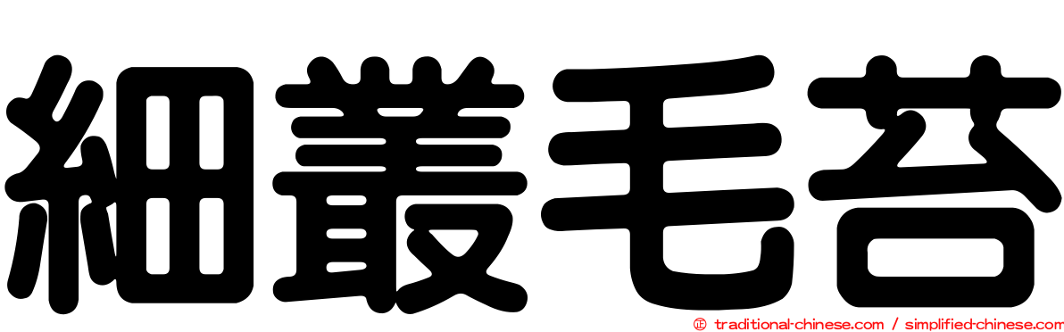 細叢毛苔
