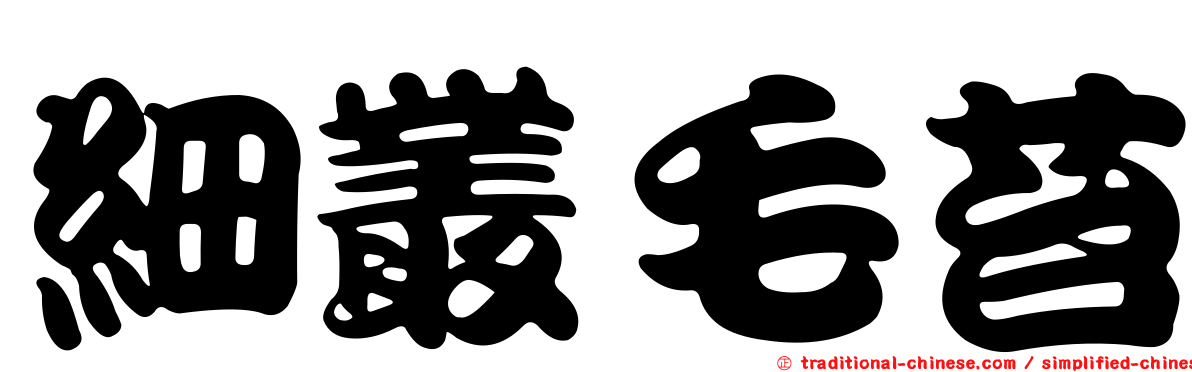 細叢毛苔
