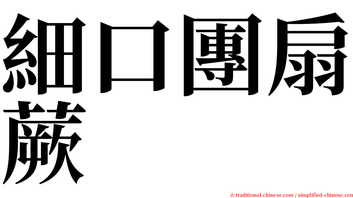 細口團扇蕨 serif font