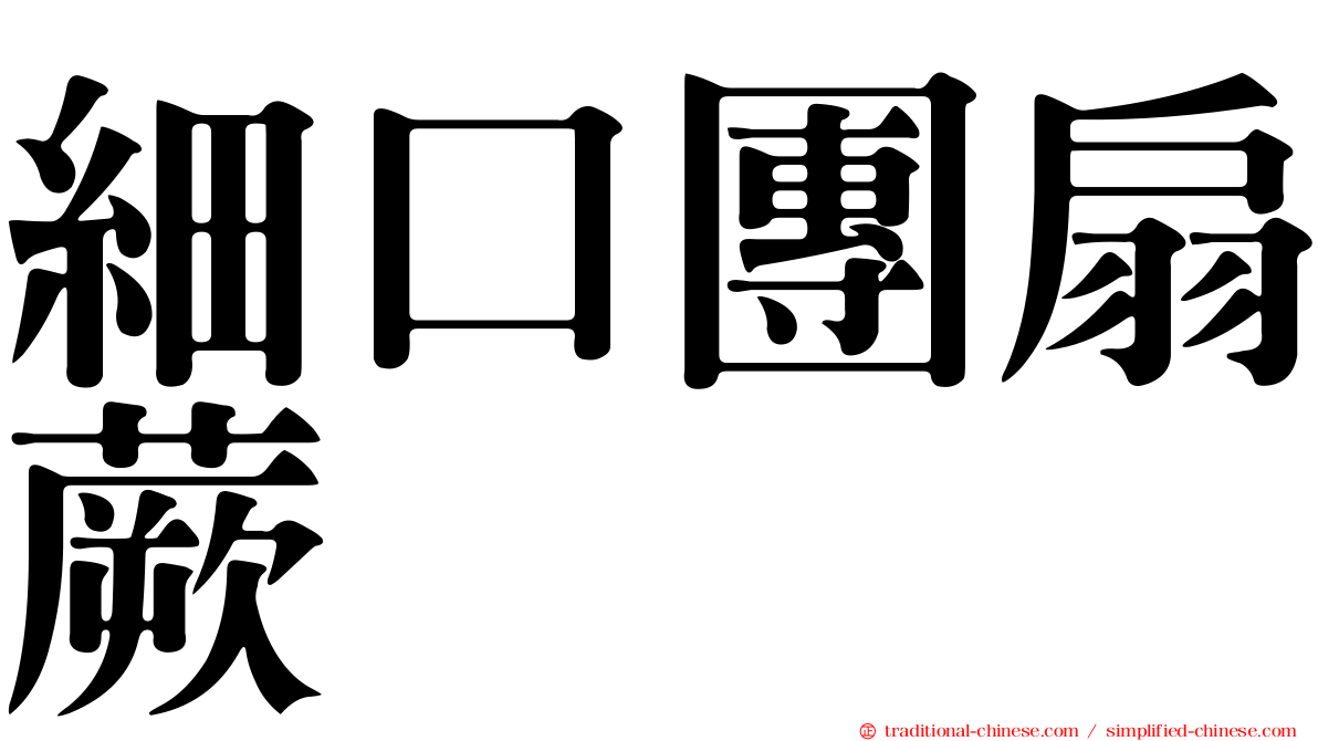 細口團扇蕨