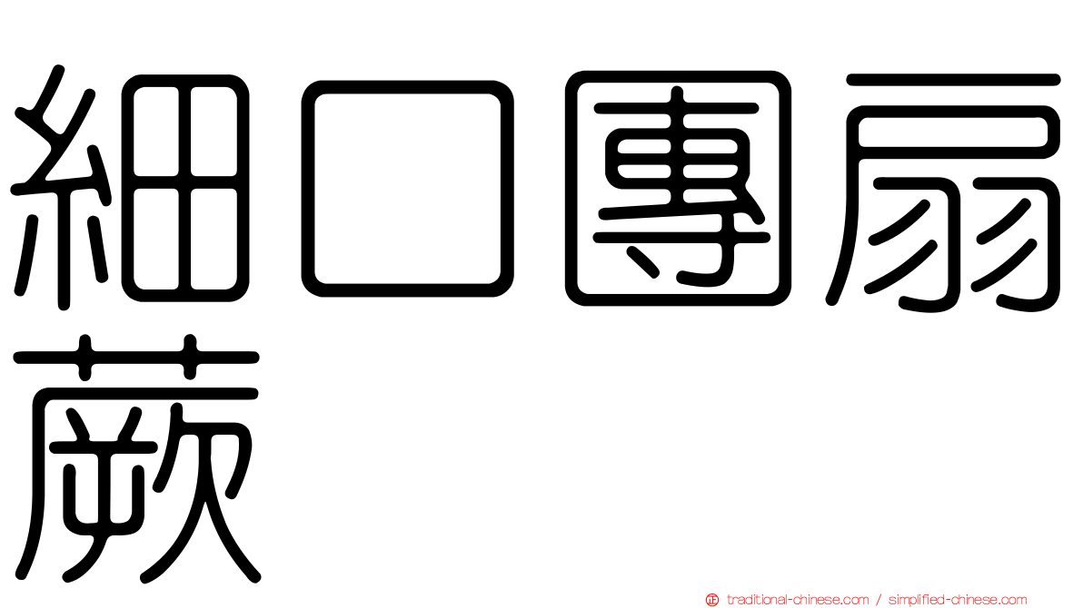 細口團扇蕨