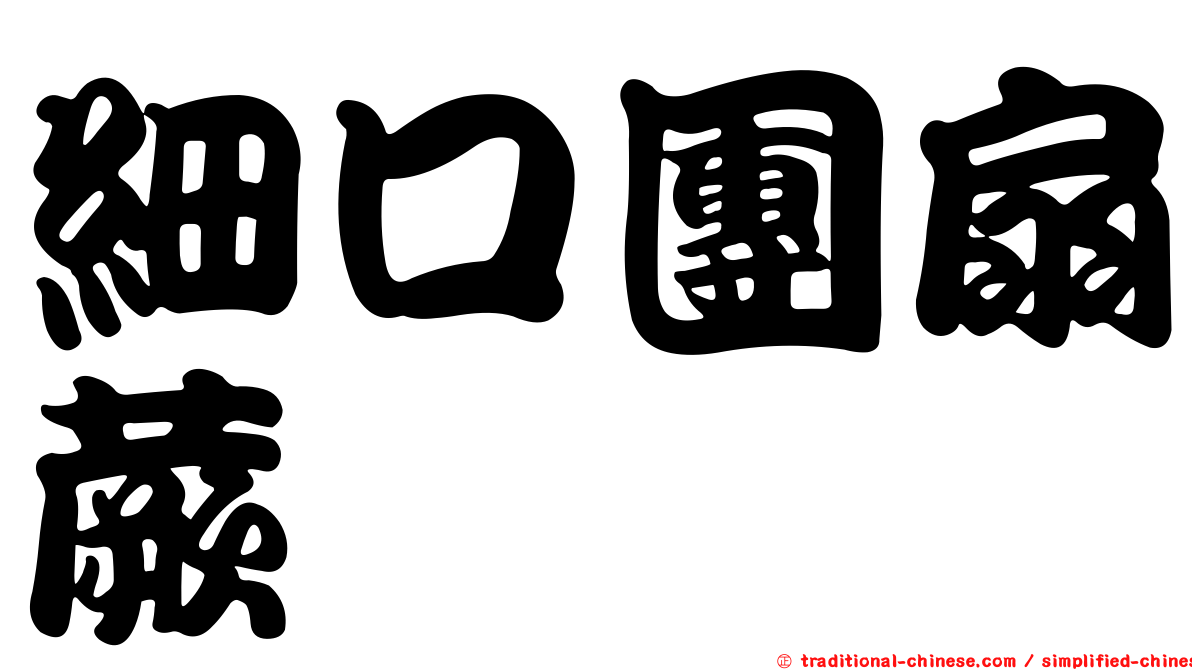 細口團扇蕨