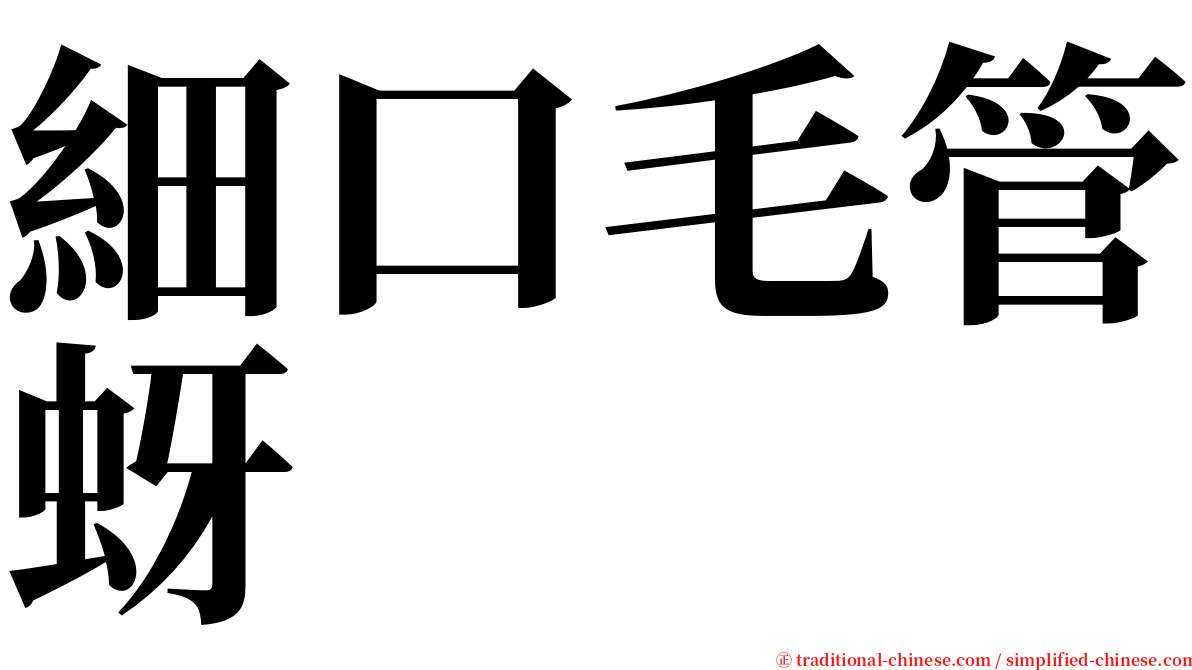 細口毛管蚜 serif font