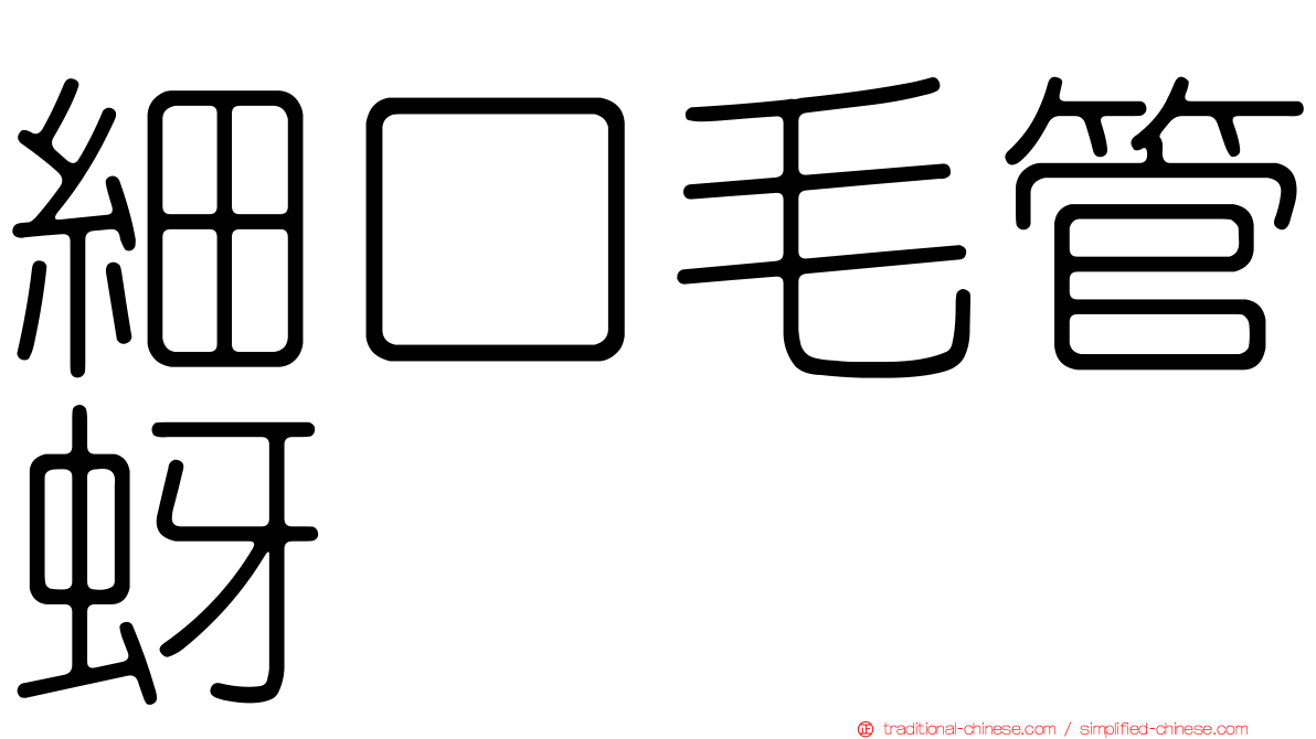 細口毛管蚜