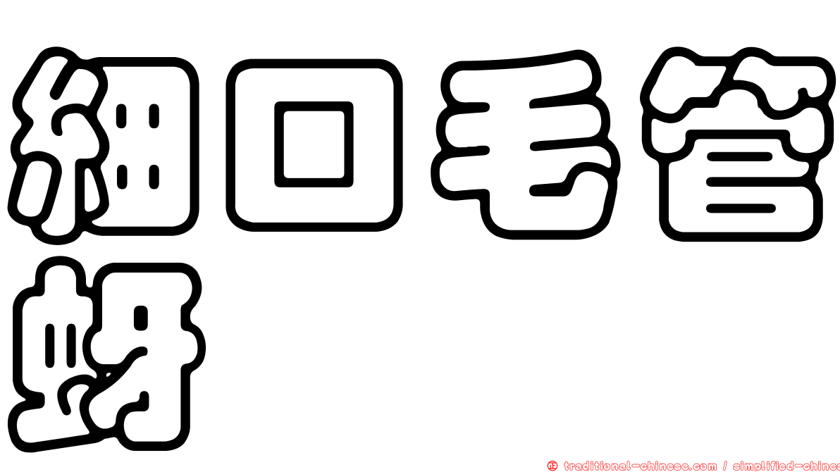 細口毛管蚜