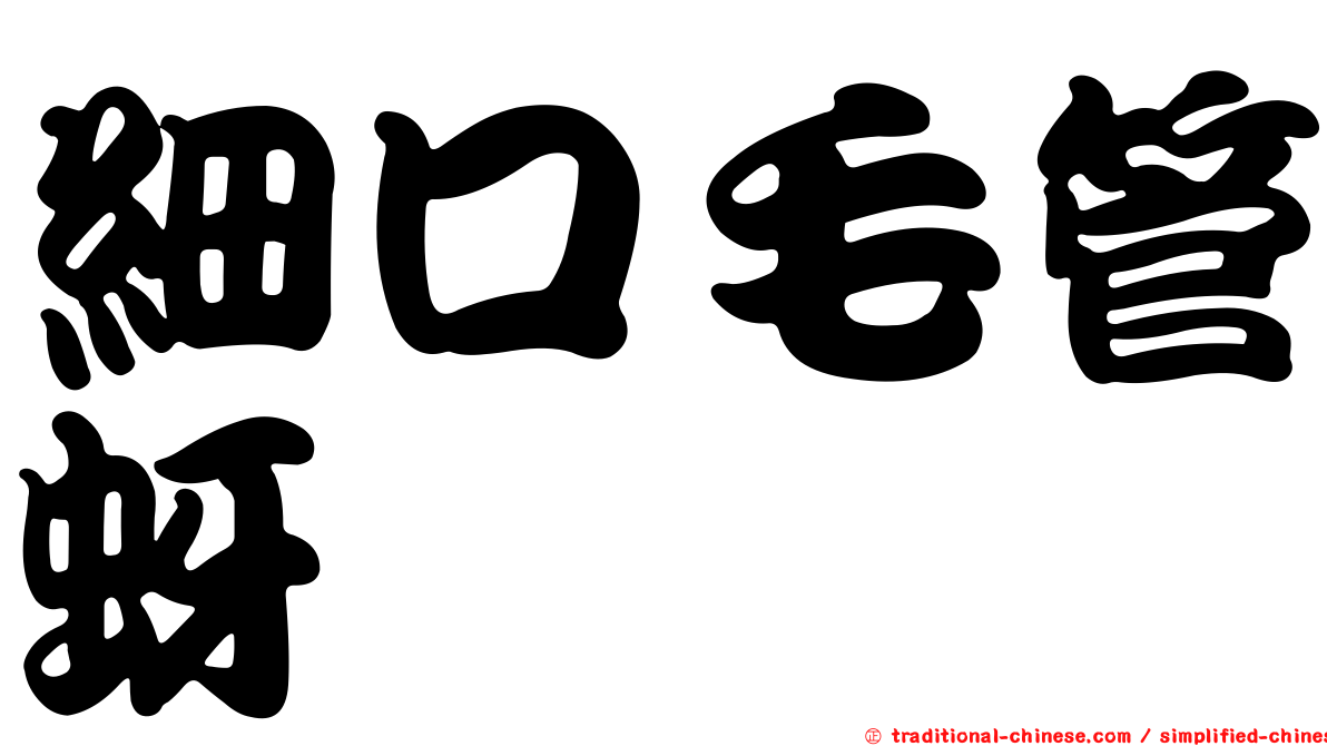 細口毛管蚜