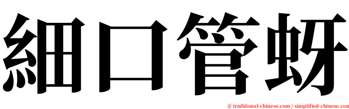 細口管蚜 serif font