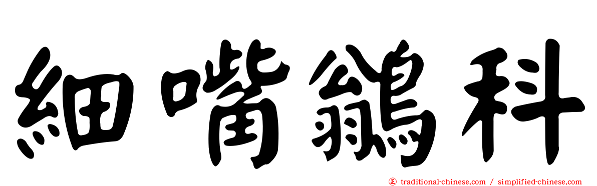 細嘴鶲科